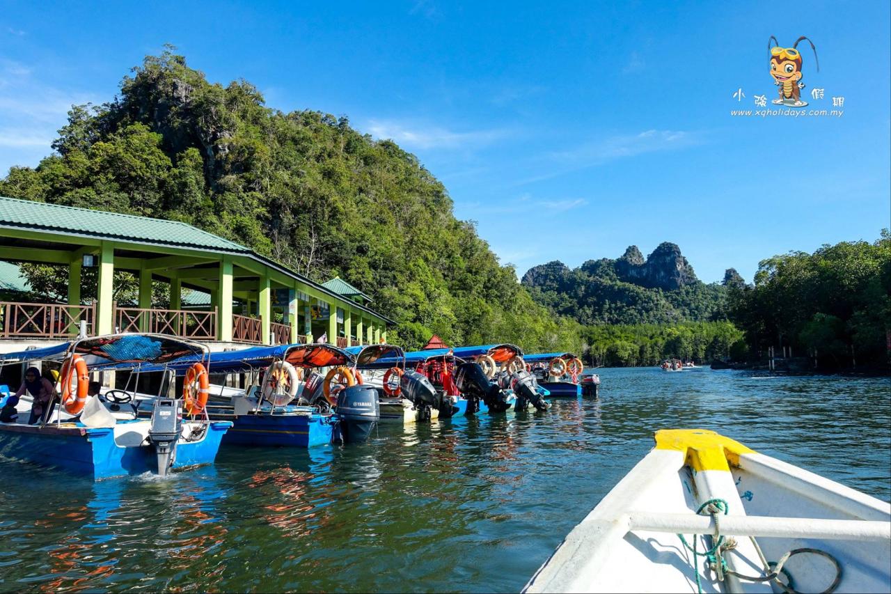 Jelajahi Ekosistem Mangrove Langkawi dengan Tur Mangrove Menakjubkan